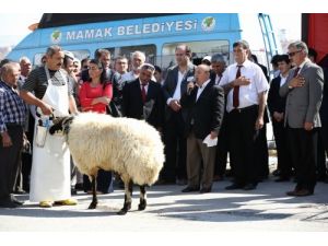 İzzettin Doğan: Alevi Ve Sünniler Birbirlerine Zarar Verecek Çıkışta Bulunmadı