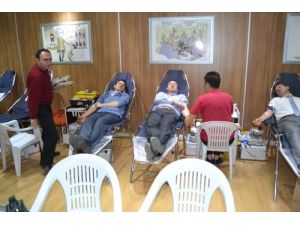 Niksarlılar Kızılay'a 2 Günde 150 Ünite Kan Bağışladı