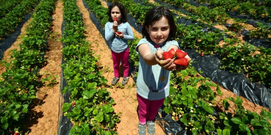 Konya’da 2020 Yılı Tarımsal Destekleme başvuruları başladı