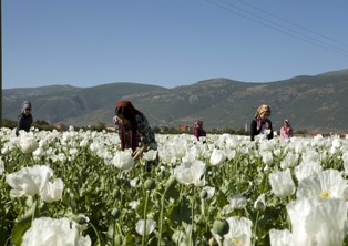 Meryem filminin galası Akşehir'de