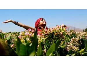 Malatyalı Fotoğrafçılar Tütün Hasadını Fotoğrafladı