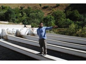 Hakkarili İşletmeci Hem Balık Hem De Elektrik Üretiyor