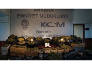 Narkotik Polisinden 2 Haftada 8 Operasyon: 20 Gözaltı