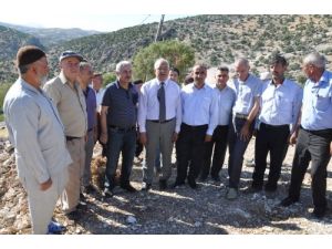 Gaziantep Milletvekili Erdoğan: Fıstık İthalatına Sıcak Bakmıyoruz