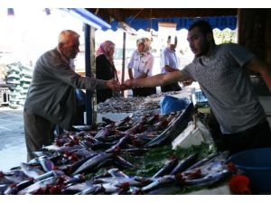 Balıkçı Avın Artmasını, Vatandaş Fiyatların Düşmesini Bekliyor