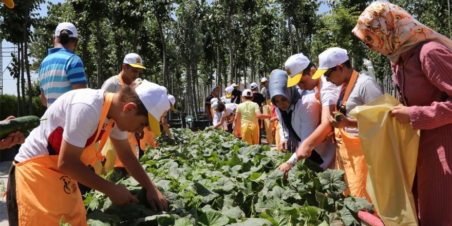 Konya’da özel öğrencilerin hasat sevinci