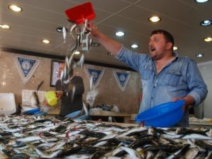 Rizeli Vatandaşlar Balık Fiyatlarından Memnun