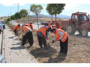 Elmadağ Belediyesi Sonbahar Temizliğine Başladı