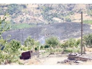 Ekinözü’nde Yangın Paniği