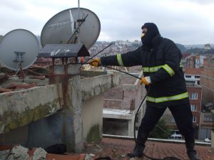 Bacaları Temizletin' uyarısı