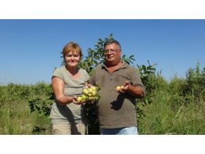 Tadını Merak Etti Üretime Başladı