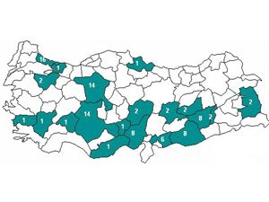 Domuz gribinden Konya’da 14 ölüm