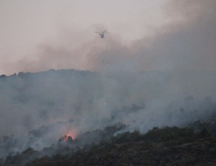 Beyşehir'de orman yangını