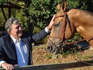 Cumhurbaşkanı'nın hediye 'Arkadaş'ı