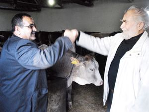 Kurbanlık hayvan fiyatları artmayacak