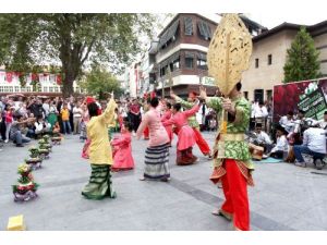 Fıstık Festivali Başladı