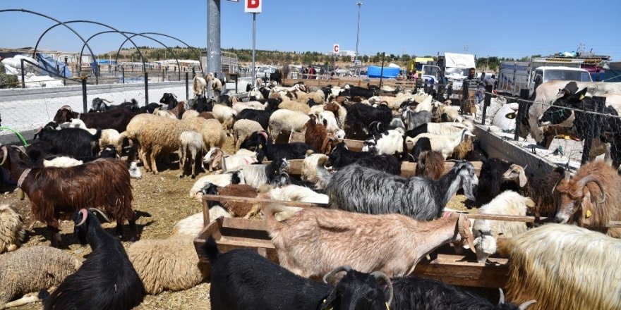 Selçuklu’da kurban satışı başladı