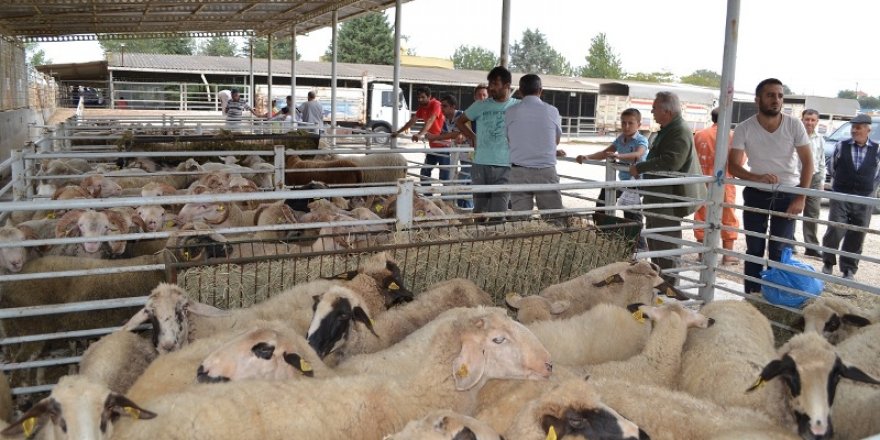 Üretici son iki günü bekliyor