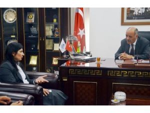 Yücelik: Hızlı Trenin Erzincan'a Kaydırılması Bizi Olumsuz Etkiler