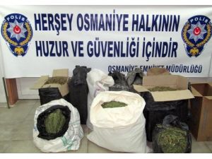 Esrar Tacirleri Osmaniye’den Geçemiyor