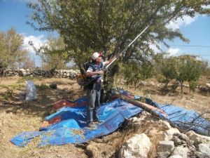 Gülnar’da Badem Fiyatları Üreticinin Yüzünü Güldürdü