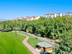 Denizli'de Gümüşçay Deresi'nin Etrafı Mesirelik Yapıldı