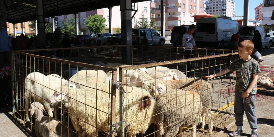 Konya’da Kurban Bayramı manzaraları