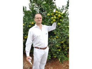 Mersin Tarımdaki Potansiyelini Performansa Dönüştürüyor