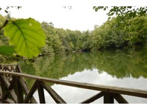 Yedigöller Milli Parkı'nda Öğrencilere Doğa Eğitimi Verilecek