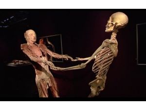 Ceset (Human Body) Sergisini Beş Günde 7 Bin 500 Kişi Gezdi