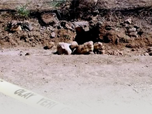 18 PKK'lının firar olayında skandal ortaya çıktı