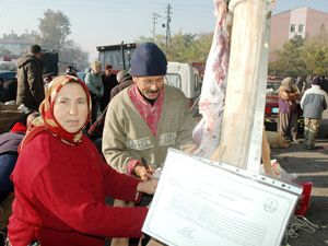 Çocuklarını okutmak için kurban kesti