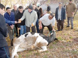 Konya’da kurban manzaraları