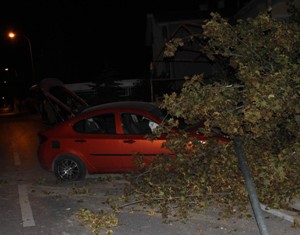 Üç otomobil çarpıştı: 6 yaralı