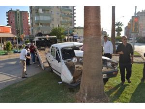 Otomobil Palmiye Ağacına Çarptı: 2 Yarı