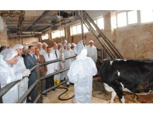 Kurban Kesim Kursuna Katılan Kursiyerler Sertifikalarını Aldı
