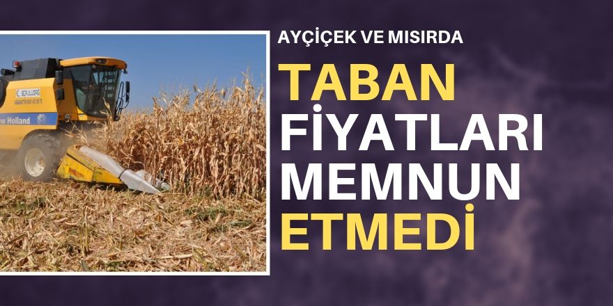 Taban fiyatında hayal kırıklığı!