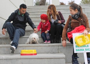Sokak hayvanlarına mama kabı