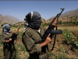 Amanoslar'da PKK'lılar işçiye erzak aldırdı