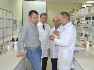 Saü’lü Hocalar Daha Ucuz Ve Etkili Antibiyotik Keşfetti