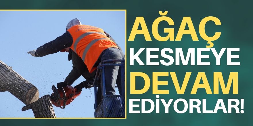 Ağaçlar kesiliyor!