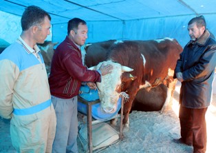 Bayram öncesi sıkı pazarlıklar başladı