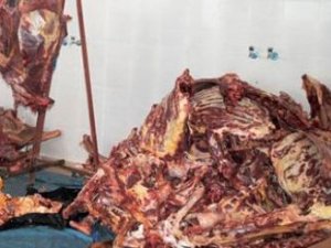 Kurban sakatatlarını hayvanlara yedirmeyin