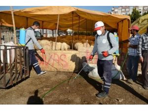 Büyükşehir Kurban Satış Noktalarını İlaçlıyor