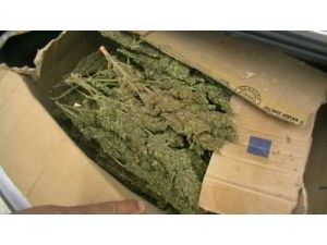Birecik’te 50 Kg Esrar Maddesi Ele Geçirildi