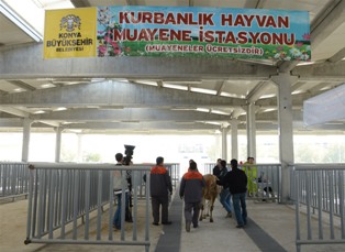 Büyükşehir Belediyesi Kurban Bayramı’na hazır