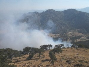 Derebucak'ta Orman Yangınları Söndürüldü