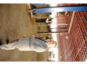 Kurban Kesimi İçin Semt Pazarlarına Çeraskal Monte Edildi