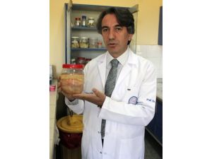 Kistli Organları Köpeklere Yedirmeyin