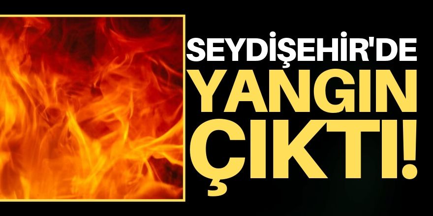 Seydişehir'de yangın!